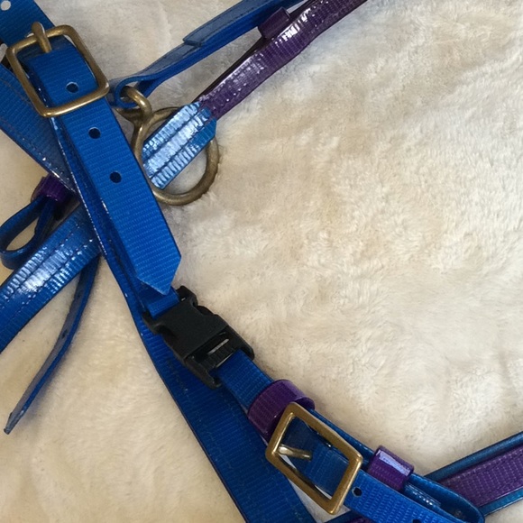 Biothane Bridle and Rope Reins Convertible - Picture 5 of 5